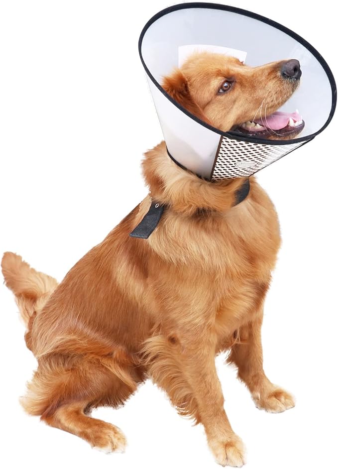Plastic Pet Recovery Collars & Cones for Dogs and Cats After Surgery Adjustable Dog Neck Cone Surgical Elizabeth E-Collar Prevent Biting and Stop Licking Wound (XXXL)