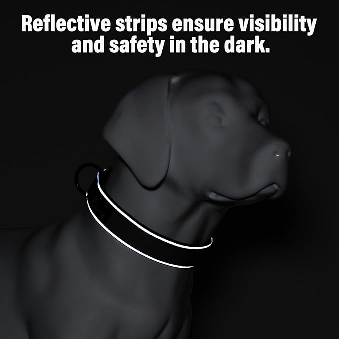 Plutus Pet Tactical Dog Collar, Reflective, Adjustable Heavy Duty Dog Collar, Soft Padded and Comfortable, for Small Medium and Large Dogs (Gray, XS)