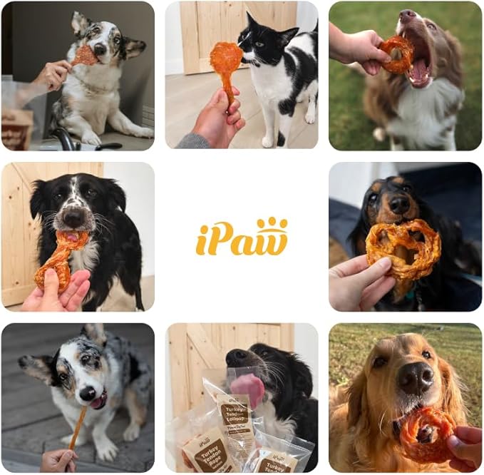 iPaw Turkey Tendons for Dogs, 100% Turkey and US Sourced Raw Material, Hypoallergenic, All Natural Human Grade Puppy Chew, Rawhide Alternative Dog Treats, 5 Unit/Pack Strip