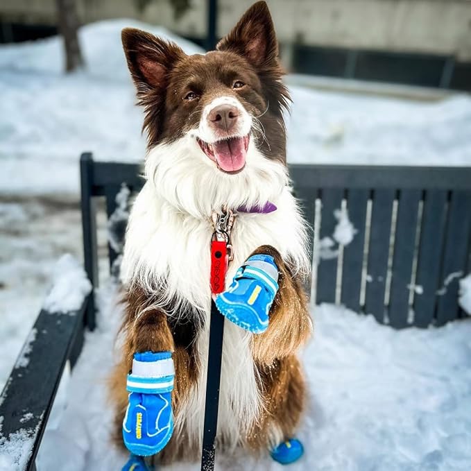 QUMY Dog Shoes for Large Dogs, Medium Dog Boots & Paw Protectors for Winter Snowy Day, Summer Hot Pavement, Waterproof in Rainy Weather, Outdoor Walking, Indoor Hardfloors Anti Slip Sole Blue 6