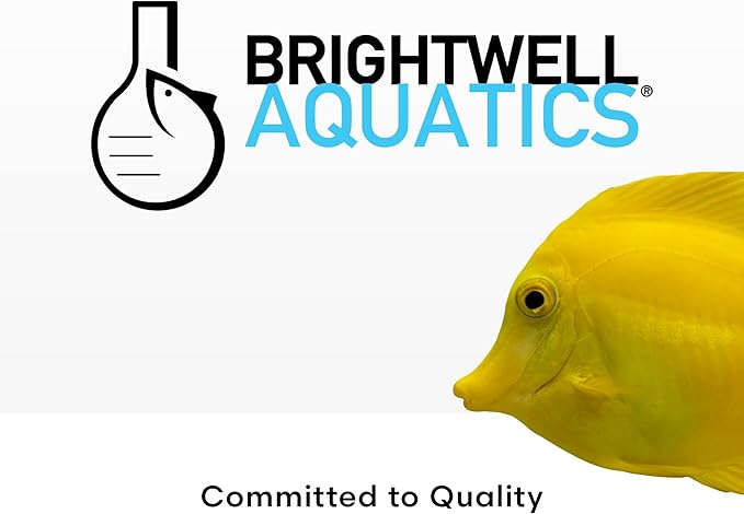 Brightwell Aquatics MicroBacter Start XLF - Concentrated Freshwater Nitrifying Bacteria - Quick Start Fish Tank Starter, Lift Microbe Levels & Water Filtering - Aquarium Water Treatments, 16.9 fl oz