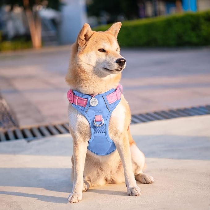 PHOEPET No Pull Dog Harness, Unique Colors Reflective Adjustable Dog Vest, with Soft Training Handle Metal Clips for Small Medium Large Dogs (Baby Blue Base & Pink Straps,XL)