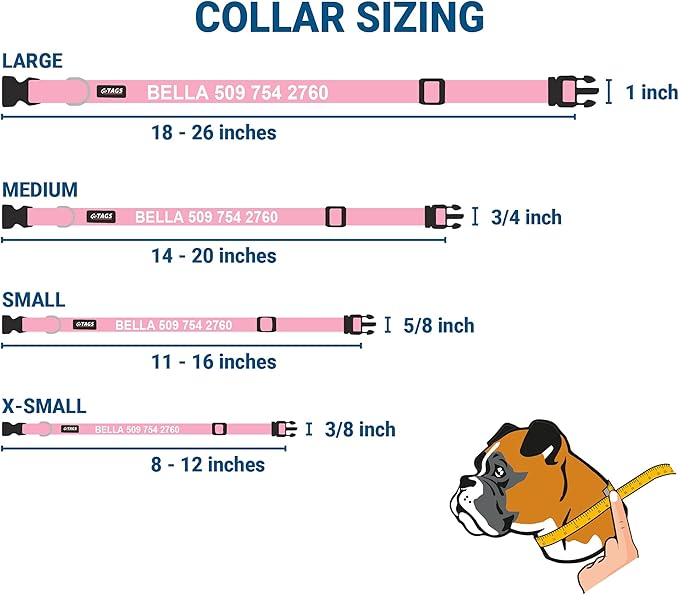 GoTags Personalized Dog Collar with Nameplate, Adjustable Dog Collar with Custom Engraved Slide On Pet ID Tag in Stainless Steel, Silent, No Noise Dog Tag for Large Medium and Small (Pink, Large)