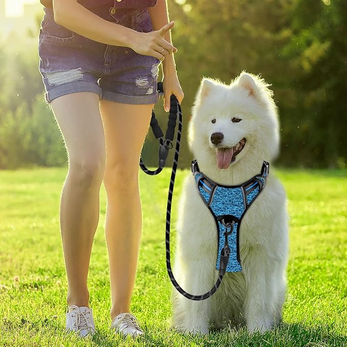 BARKBAY Dog Harness No Pull with ID Tag Pocket - Heavy Duty, Reflective, Easy Control for Large Dogs(Blue/Black,S)