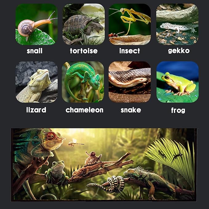 Micro Habitat Terrarium Enclosure Kit(4pc Set),Jumping Spider Enclosure,Spider Enclosure,Tarantula Enclosure, Acrylic Reptile Enclosure(8 * 4.7 * 4.7 Inches)