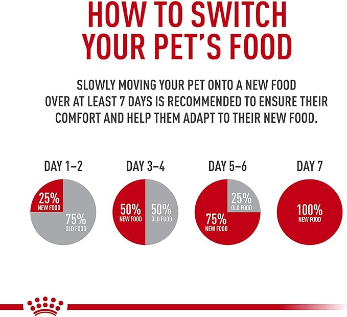 Royal Canin Digestive Care Chunks in Gravy Adult Wet Cat Food, Pouches 3 Oz(Pack of 12), Chicken flavor