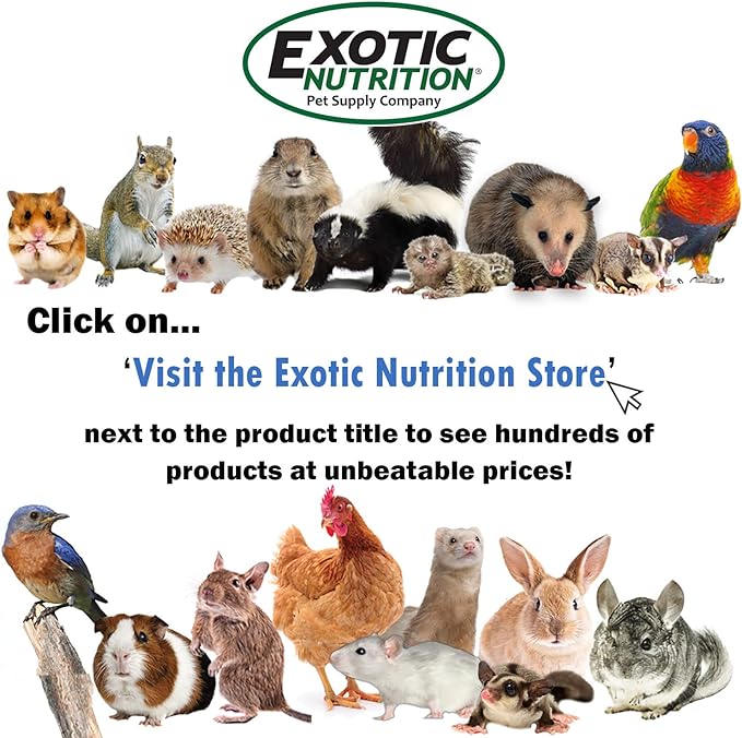 Tropical Trio - Healthy Natural Mixed Dried Fruit Treat - Papaya, Coconut, Pineapple - for Sugar Gliders, Squirrels, Prairie Dogs, Skunks, Marmosets, Parrots, Birds, Rats, Small Pets (4.5 oz.)