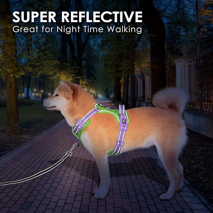 PHOEPET No Pull Dog Harness, Unique Colors Reflective Adjustable Dog Vest, with Soft Training Handle Metal Clips for Small Medium Large Dogs (Green Base & Purple Straps,L)