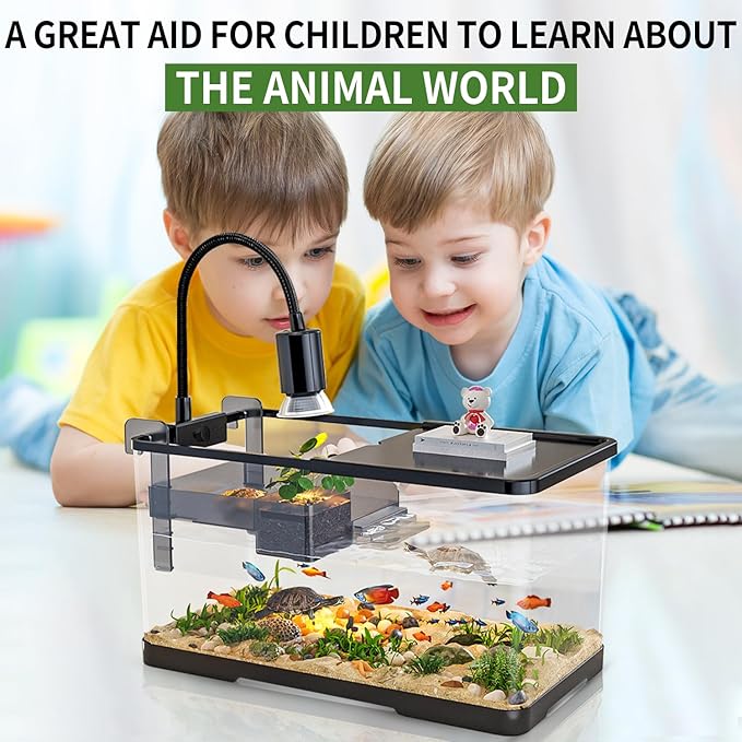 (Tank + Light + Filter Balls) Turtle Tank Kit, Turtle Tank Starter Kit,Bottom Drainage, Multi-Function Areas for Turtles, Crabs,Fishes, Amphibians,Reptiles. (11.81 × 7.88 × 7.88 Inch)