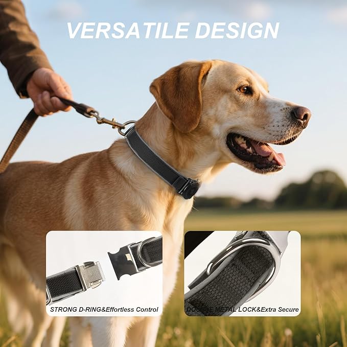 Waterproof Airtag Dog Collar - Nylon Collar with Durable Airtag Holder, Reflective&Anti-Lost with Safety Metal Buckle, Soft Padded Adjustable for Small Medium Large Dogs Black L