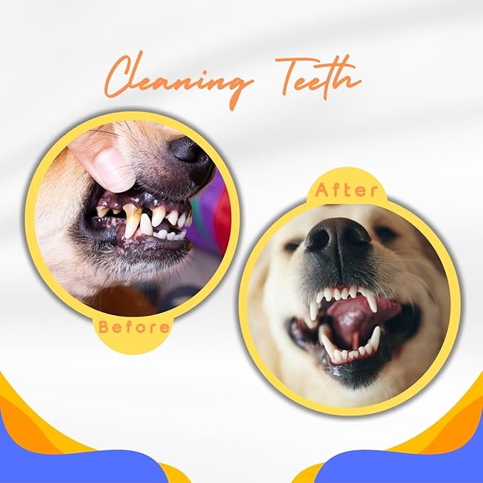 Tough Dog Toys for Aggressive Chewers & Teething Puppies, Bouncy Balls for Medium Dogs, Durable Pet Toys, Floating Dog Balls for Water Play (Orange-Blue-Set)