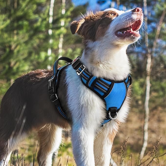 rabbitgoo Dog Harness Medium Sized, No Pull Dog Vest with 3 Buckles, Adjustable Soft Padded Pet Harness with Easy Control Handle and Reflective Strips, Blue, M
