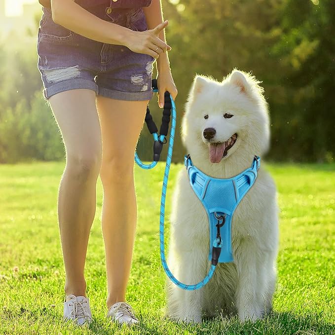 BARKBAY Dog Harness No Pull with ID Tag Pocket - Heavy Duty, Reflective, Easy Control for Large Dogs(Blue,M)