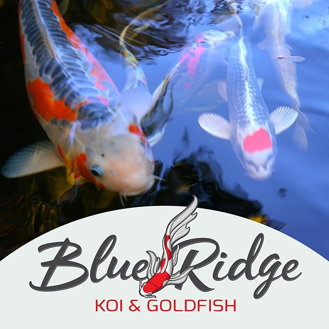 Blue Ridge Koi Fish Food 5lb - Koi Food Large 3/16" Growth Formula, Goldfish Food, Premium Fish Food for Ponds, Ponds Fish Food, Floating Pond Pellets