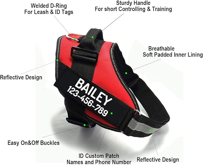 PawPawify Custom No Pull Dog Harness with Name and Phone Number, Heavy Duty Personalized Pet Vest to Prevent Tugging, Pulling, or Choking, Training and Walking (Purple, M (20-40 LBS))