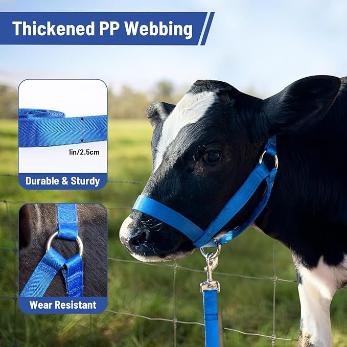 XUANNIAO Easily Adjustable Figure 8 Cow Halter, Double-Ply Premium Livestock Cattle Halters, Colorful Cow Utility Calf Halter with Leading Rope for Miniature Horse Donkey Goat Foal (Large, Blue)