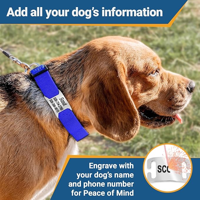 GoTags Personalized Dog Collar with Nameplate, Adjustable Dog Collar with Custom Engraved Slide On Pet ID Tag in Stainless Steel, Silent, No Noise Dog Tag for Large Medium and Small (Black, Medium)