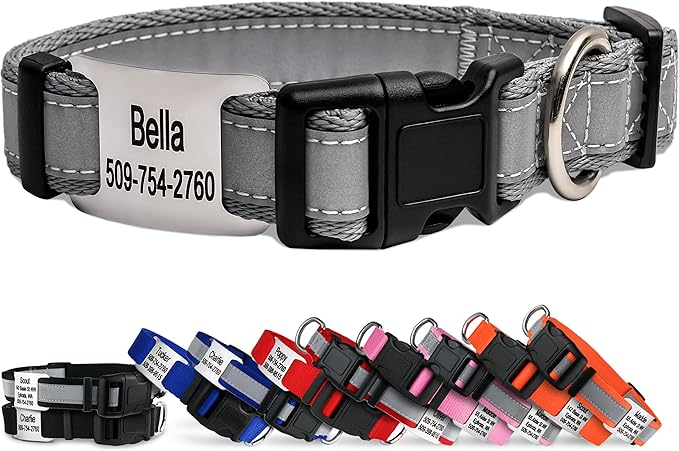 GoTags Reflective Personalized Dog Collar with Nameplate, Adjustable Dog Collar with Custom Engraved Steel Slide On Pet ID Tag, Silent, No Noise Dog Tag for Large Medium or Small (Light Gray, Small)
