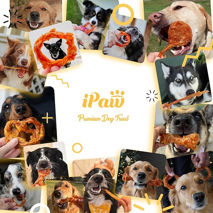 iPaw Turkey Tendons for Dogs, 100% Turkey and US Sourced Raw Material, Hypoallergenic, All Natural Human Grade Puppy Chew, Rawhide Alternative Dog Treats, 10 Unit/Box Bone (Large)
