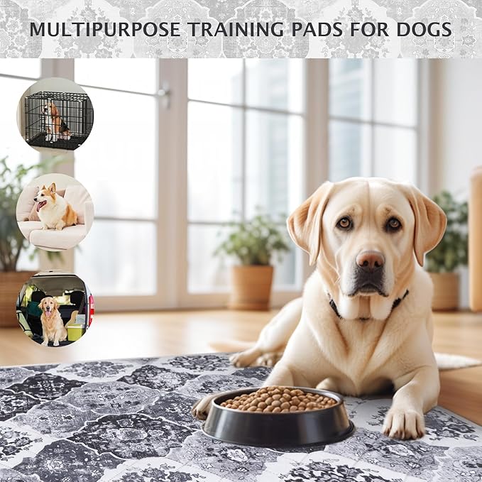IEUUMLER Washable Pee Pads for Dogs, 2 Pack Reusable Pee Pads for Dogs Non-Slip Grip, Super Absorbent Waterproof Puppy Pads for Potty Training, Playpen, Crate, Whelping Box EU011 Black Grey, 41x41