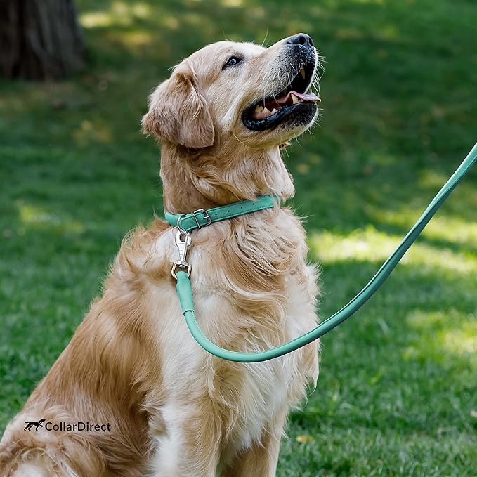 CollarDirect Rolled Leather Dog Collar, Soft Padded Round Puppy Collar, Handmade Genuine Leather Collar Dog Small Large Cat Collars 13 Colors (11-14 Inch, Mint Green Textured)