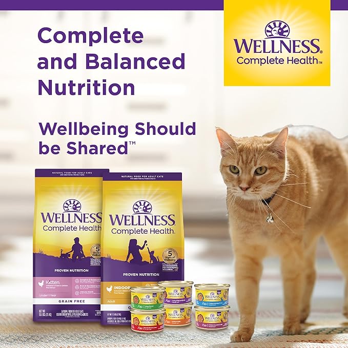 Wellness Complete Health Gravy Adult Wet Cat Food, Natural, Protein-Rich, Grain Free, 5.5 Ounce , 12 Pack, (Chicken Dinner)