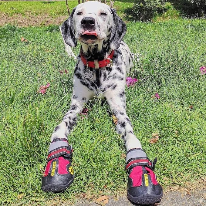 QUMY Dog Shoes for Large Dogs, Medium Dog Boots & Paw Protectors for Winter Snowy Day, Summer Hot Pavement, Waterproof in Rainy Weather, Outdoor Walking, Indoor Hardfloors Anti Slip Sole Red Size 3
