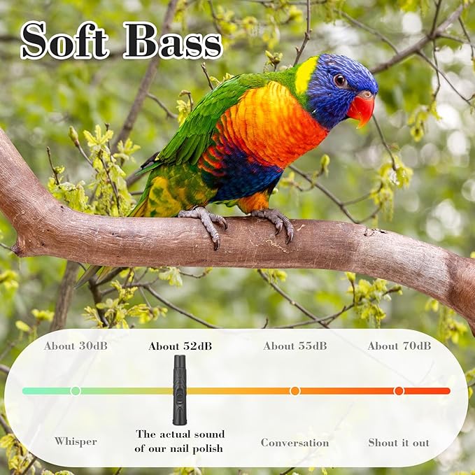 Lasnten 2 Pcs Bird Nail Grinder with Bird Nail Clipper Bird Nail Trimmer Bird Nail File with LED Lamp Grooming Tool for Bird Parrot Budgerigars Parakeets Myna Conure Finches Lovebirds (Black)