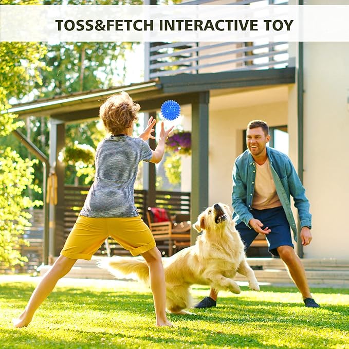 Petizer 3-Pack 3.5" Squeaky Dog Toy Balls - Floating Pool Balls, Spiky Interactive Fetch Toys for Puppy, Chew Toys - Safe, BPA Free