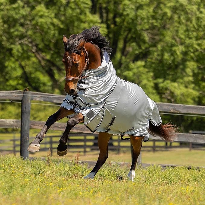 HORZE Warren Soft Adjustable Genuine Leather Horse Halter | Stainless Steel Hardware - Light Brown - Warmblood