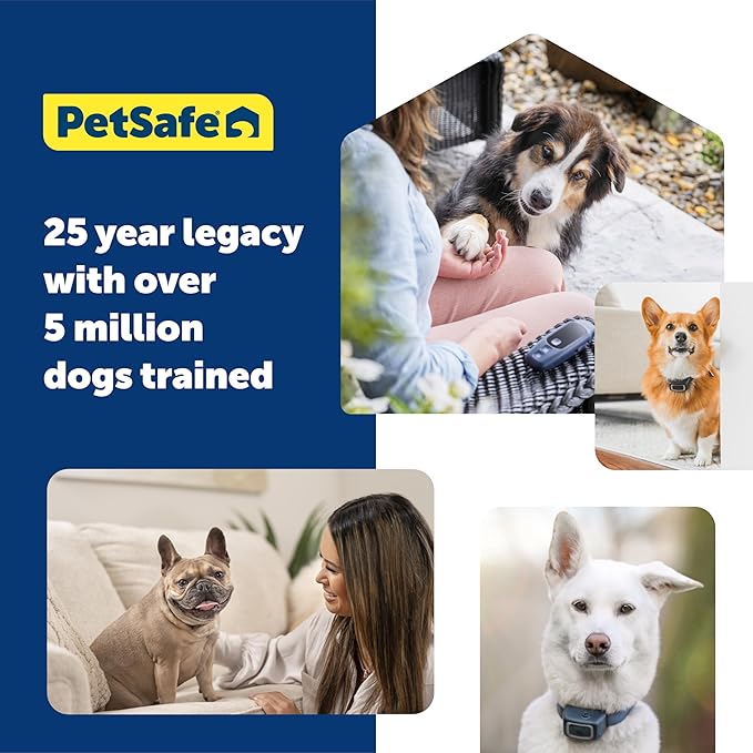 PetSafe Pro Dog Trainer with Remote – Waterproof Training Collar – 1000 ft Range – Tone, Vibration and 19 Levels of Static - Add-A-Dog Compatible – Sleek Remote Training Collar