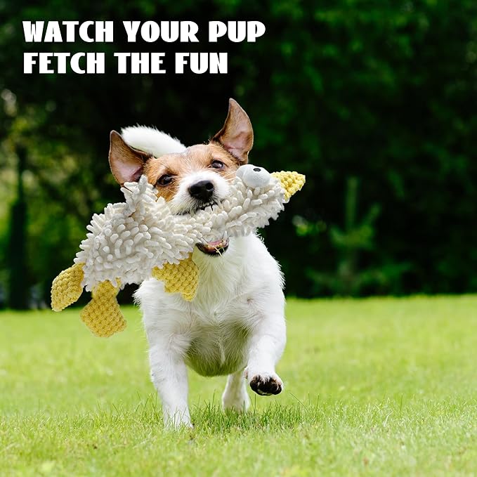 Nocciola Plush Squeaky Dog Toys, Cute Durable Stuffed Crinkle Puppy Pet Chew Toys for Large Medium Small Dogs - Spider