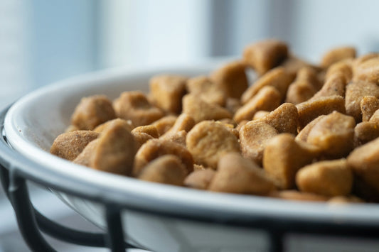 How to Choose the Right Pet Food in the U.S.: What Every Pet Owner Should Know