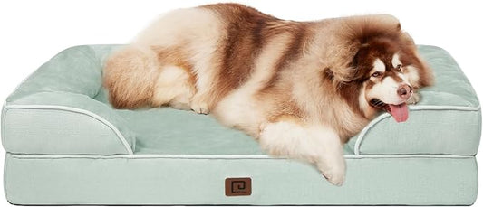 The Best Flea and Tick Prevention for Dogs & Cats in the U.S. (Vet-Recommended)