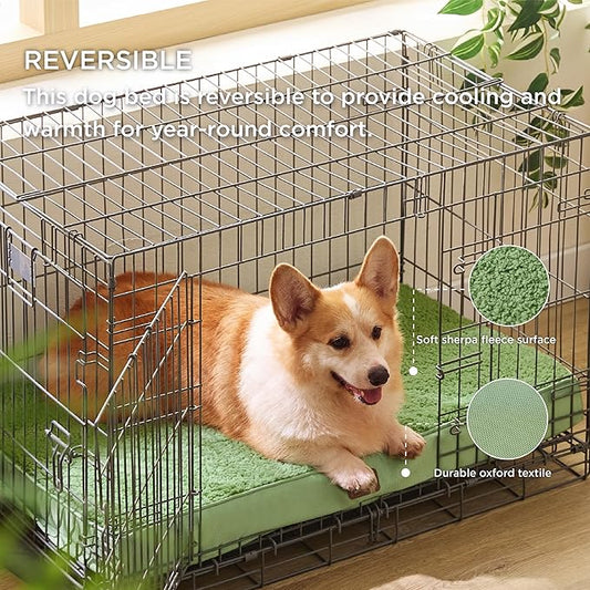 Top 10 Must-Have Pet Supplies Every New Dog Owner in the U.S. Needs