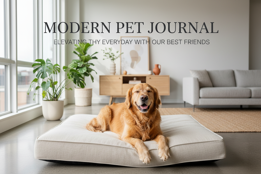 Modern Pet Journal: Thriving in the City with Your Furry Companion