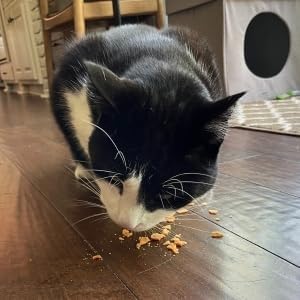 Farm To Pet - Cat Treat Crumbles - 3 oz Single Ingredient Turkey Cat Treats or Snacks - Healthy for Indoor Cats and Kitten- Essential Products (Mix with Wet or Dry Food)