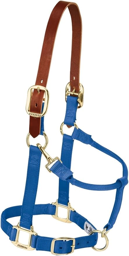 Weaver Equine Nylon Horse Halter, Triple-Ply Cheek Design, Original Non Adjustable Halters for Horses, Equine Tack,Average Size, Black