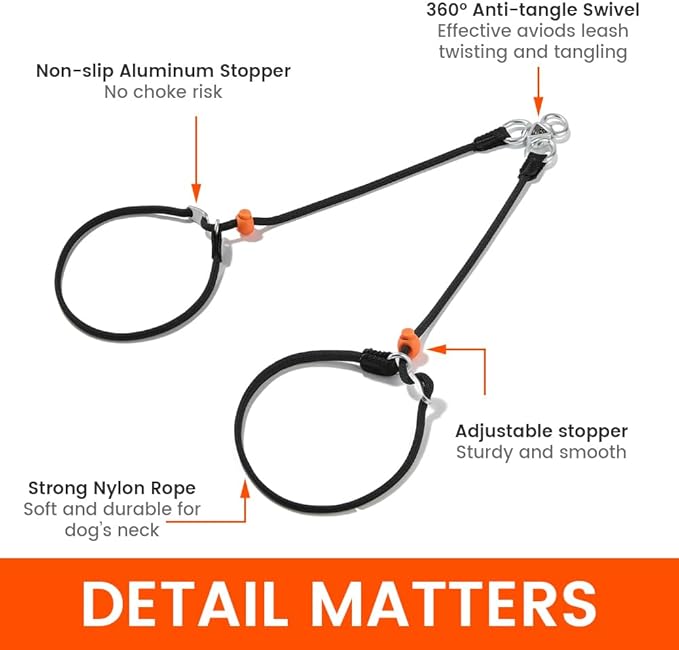 Howgo Double Slip Leash Slip Lead | Dual Dog Lead for 2 Dogs,360° Swivel No Tangle | Dog Training Nylon Leash and Collar | Double Clip Coupler and Splitter | Lightweight Aluminum (Green, 3FT)