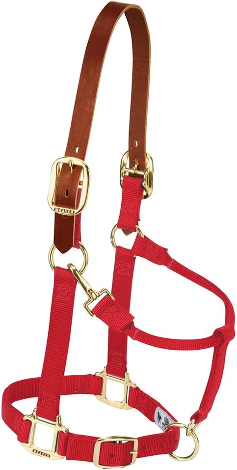 Weaver Equine Nylon Horse Halter, Triple-Ply Cheek Design, Original Non Adjustable Halters for Horses, Equine Tack,Average Size, Black