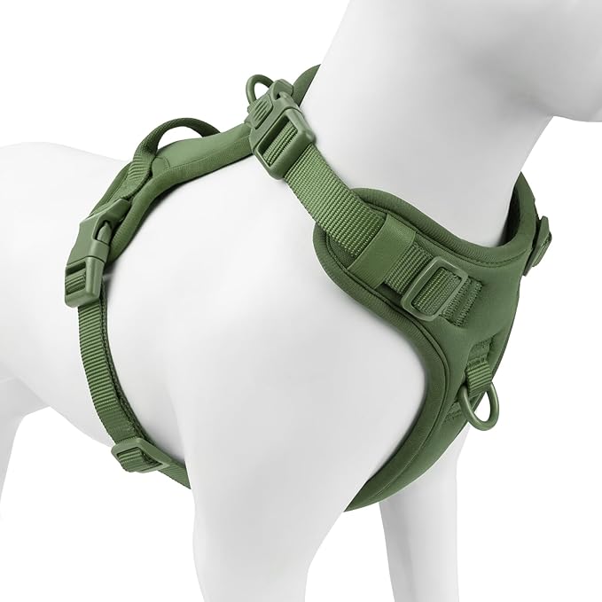 No Pull Dog Harness, Puppy Vest with Front Clip for Small Medium Large Sized Dog (Misty Green,M)