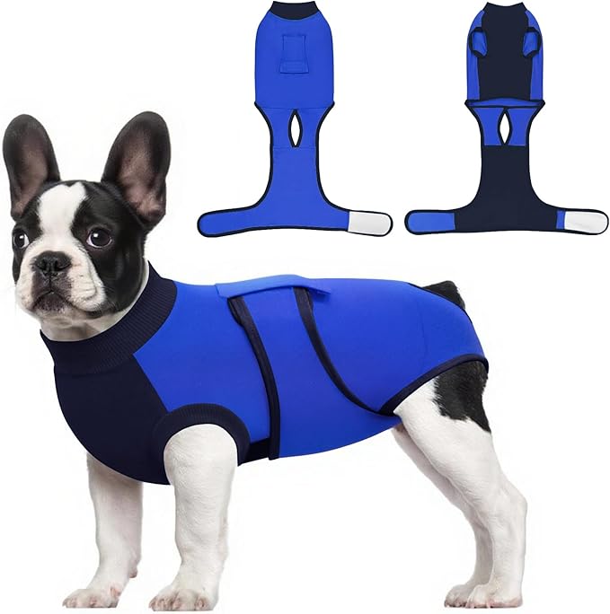 Idepet Dog Recovery Suit Female,Dogs Onesie Suit Surgery Male Breathable Pet Bodysuit for Spay Neuter E-Collar & Cone Alternative Surgical Suit Puppy Abdominal Anti Licking Wounds Shirt (Blue, XL)
