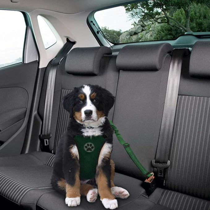 Lukovee Dog Seat Belt - Adjustable Dog Car Harness for Large, Medium & Small Dogs, Soft Padded & Breathable Mesh Dog Seatbelt with Vehicle Connector Strap (Green, Small)