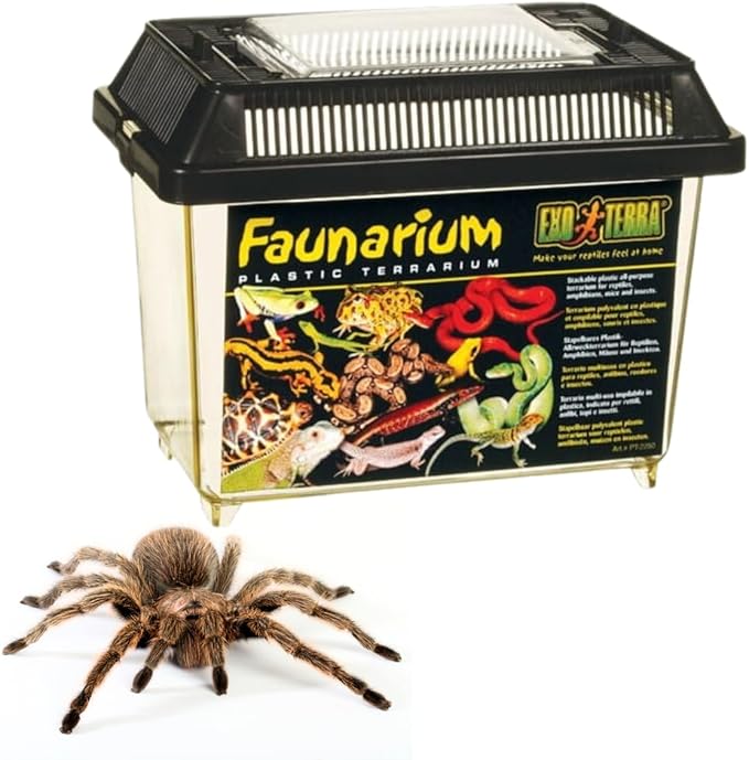 Exo Terra Faunarium, Plastic Reptile Terrarium, Large, PT2265