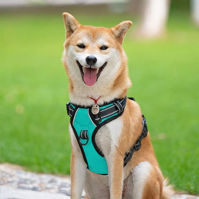 PoyPet No Pull Dog Harness, Reflective Comfortable Vest Harness with Front & Back 2 Leash Attachments and Easy Control Handle Adjustable Soft Padded Pet Vest for Small to Large Dogs (Mint Blue,S)