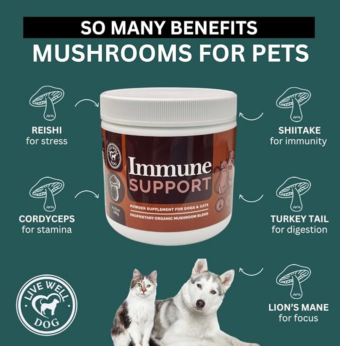 Immune Support Powder Food Topper, Large 6.35oz, Proprietary Organic Mushroom Blend, 300g