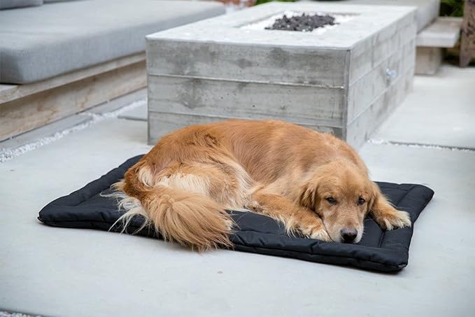 K9 Ballistics Tough Ripstop Dog Crate Pad - Durable & Machine Washable with Non-Skid Bottom and 120-Day Warranty, Fits 30" Wire Crates - Small, Light Gray Velvet