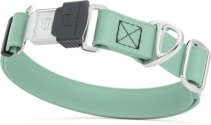 Dogline Biothane Waterproof Dog Collar with Herm Sprenger Black Stainless Steel Quick Release Buckle – Heavy Duty Tactical Durable Collar for Dogs – Comfortable Pet Collar W3/4" L12-19 Sage Green