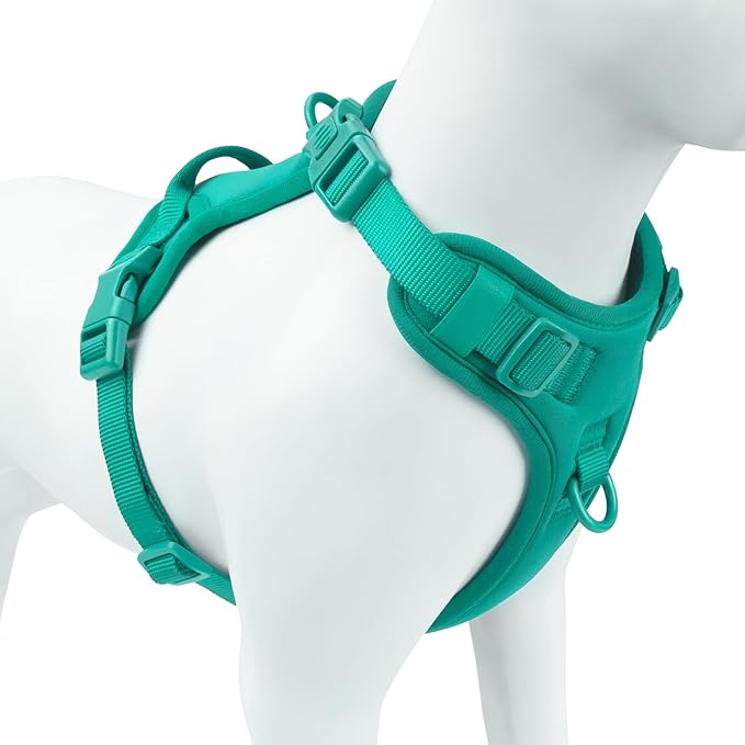 No Pull Dog Harness, Puppy Vest with Front Clip for Small Medium Large Sized Dog(MARRS Green,XS)