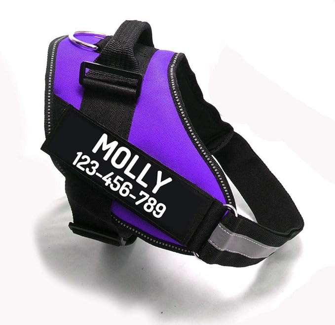 PawPawify Custom No Pull Dog Harness with Name and Phone Number, Heavy Duty Personalized Pet Vest to Prevent Tugging, Pulling, or Choking, Training and Walking (Purple, M (20-40 LBS))